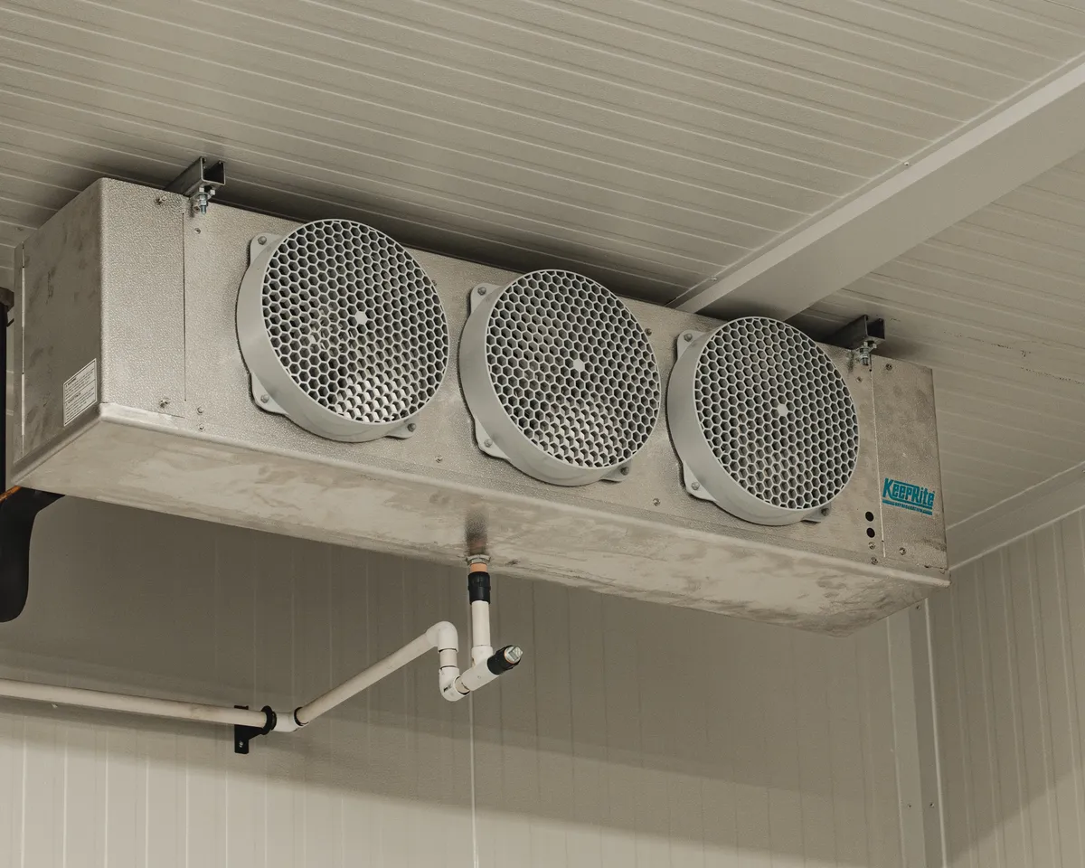 KeepRite three-fan evaporator ceiling-mounted in a finished Ontario walk-in cold room, insulated copper suction line and white PVC condensate drain against white insulated panels, SKOR Crestlawn install by World Food Equipment