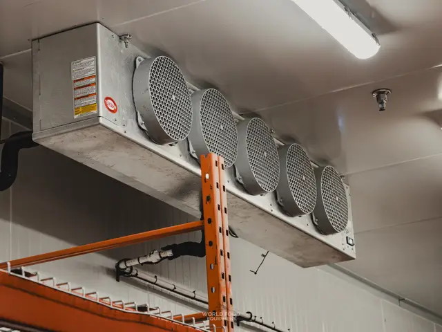 Evaporator and drain line in a walk-in freezer
