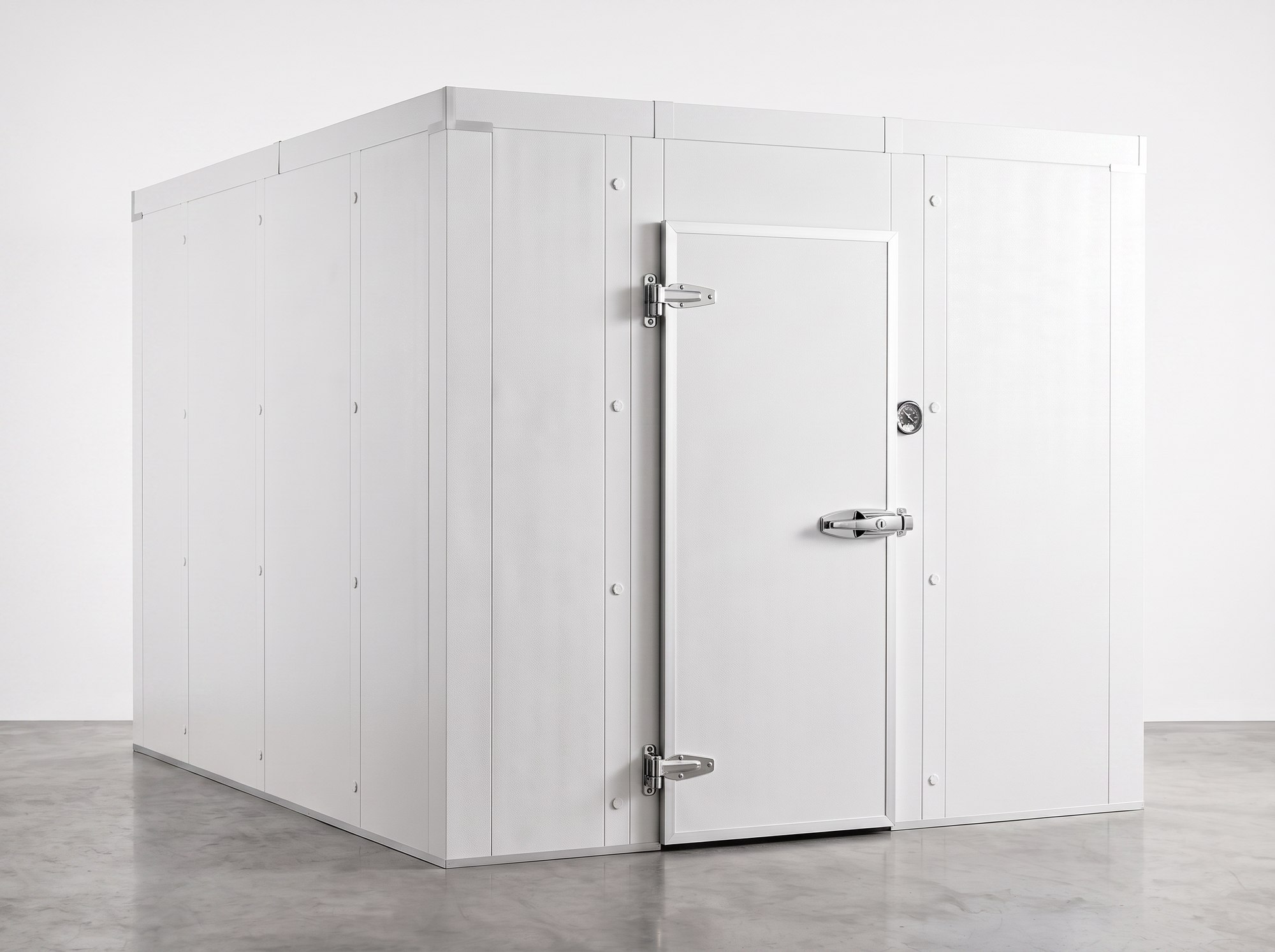 10x10 Walk-In Cooler Box with Door (render, image representative), for sale from World Food Equipment, Mississauga Ontario