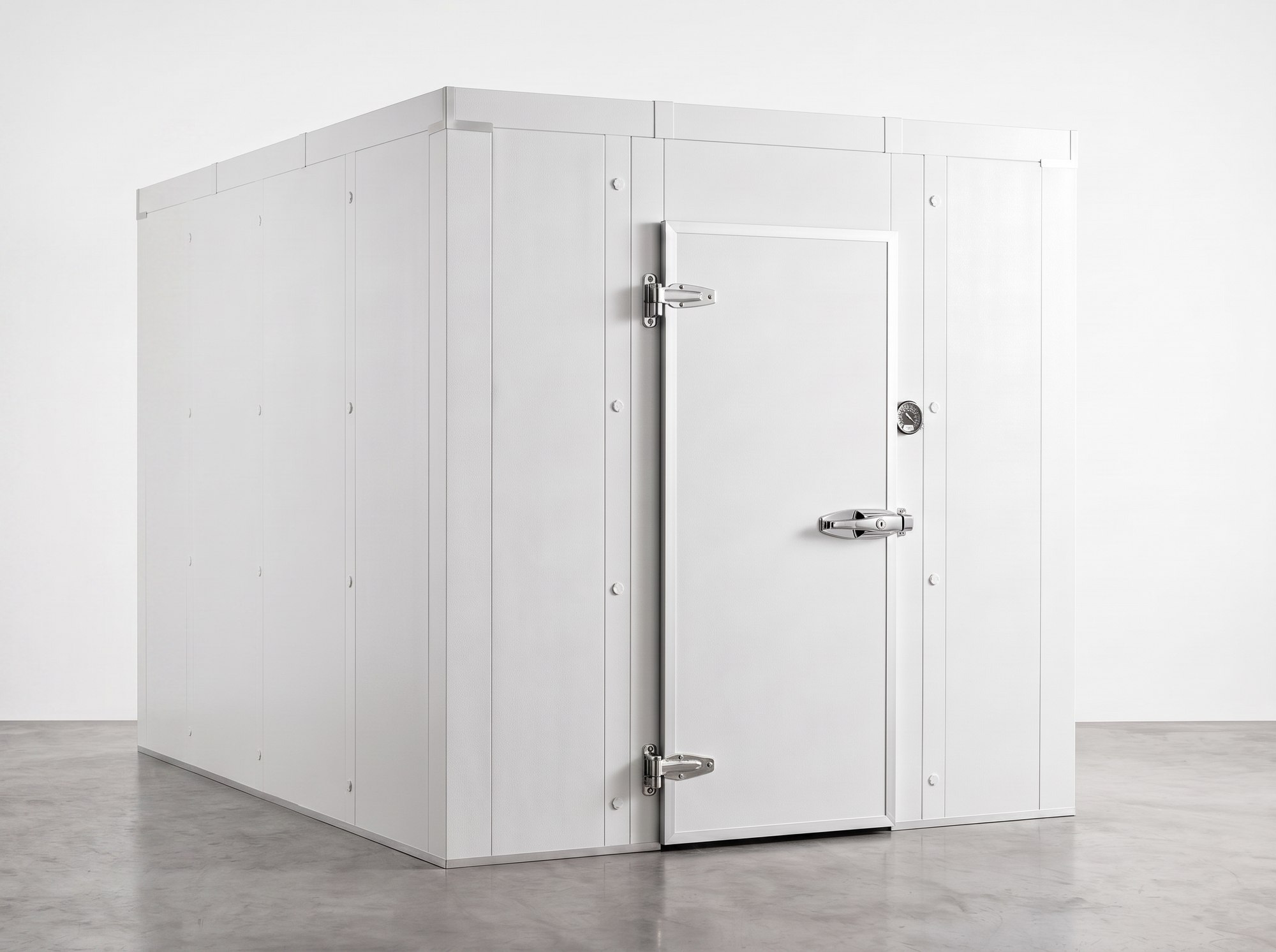 8x10 Walk-In Cooler Box with Door (render, image representative), for sale from World Food Equipment, Mississauga Ontario